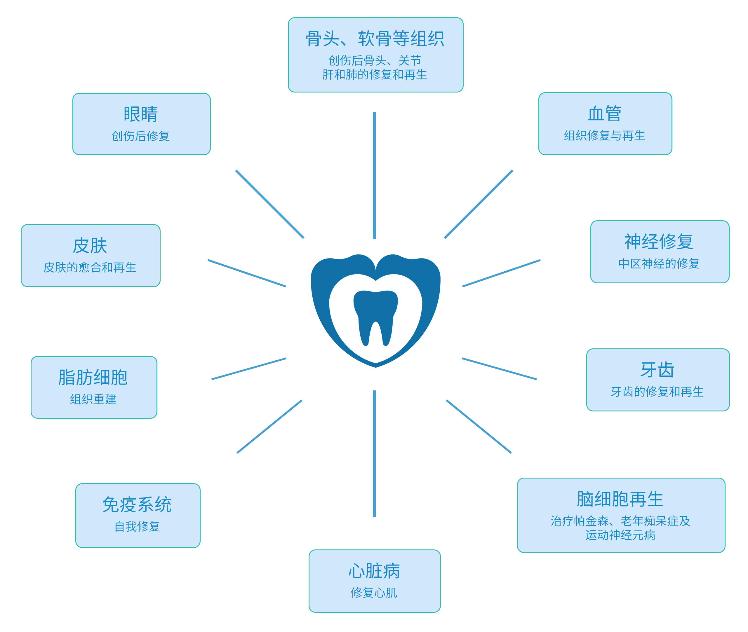 医用价值图-0627.png