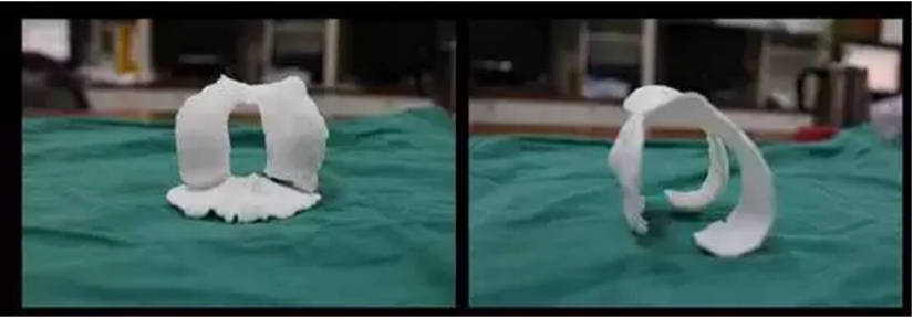 blob.png